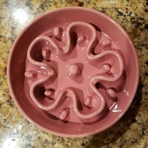 Ceramic Le Tauci slow feeding Pet Bowl